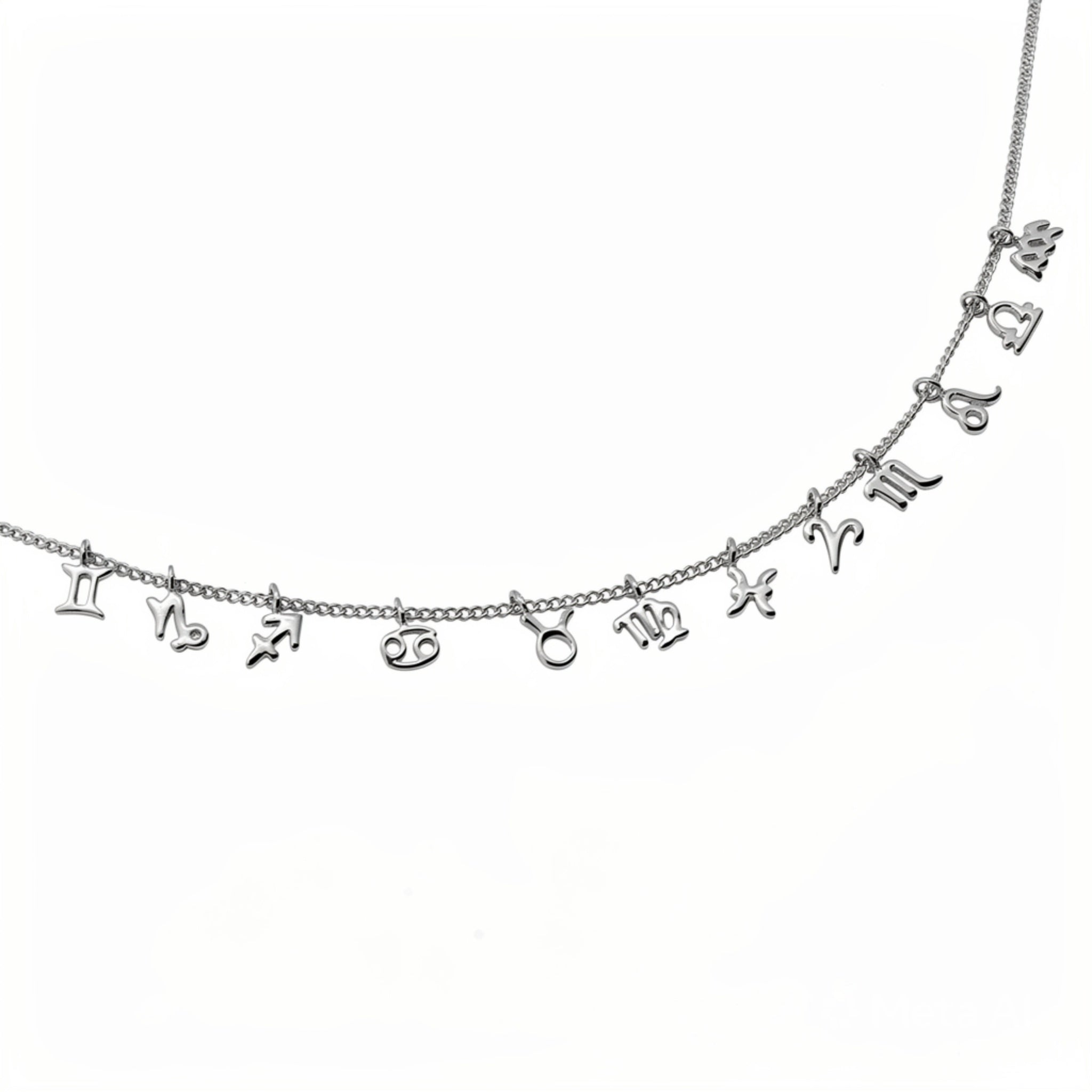 Sterling silver zodiac charm bracelet with multiple zodiac sign pendants on fine silver chain