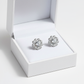 Melchior Jewellery womans sterling silver crystal flower stud earrings in white gift box