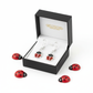 Melchior Jewellery kids sparkly ladybird leverback earrings in black gift box with ladybird decorations