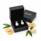 Melchior Jewellery sterling silver pineapple stud earrings in black gift box with dried pineapple slices and green leaves